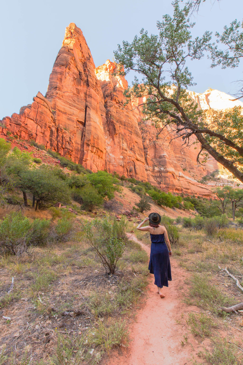 zion national park shuttle zion national park shuttle