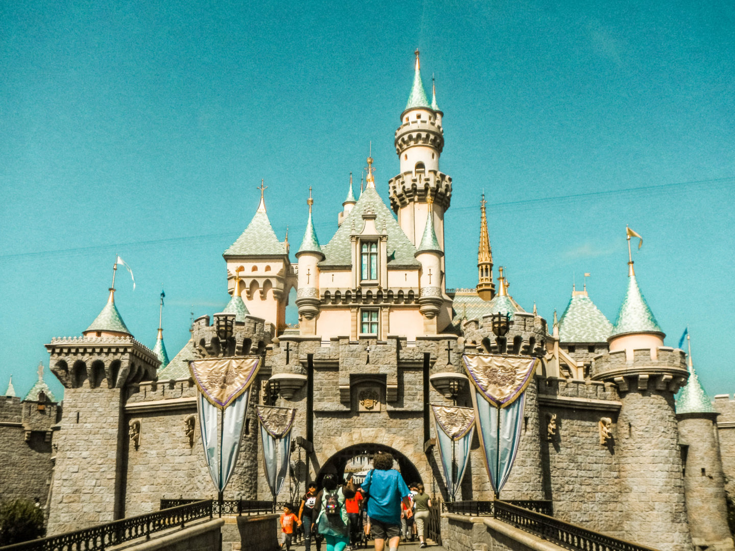 Sleeping Beauty's Castle