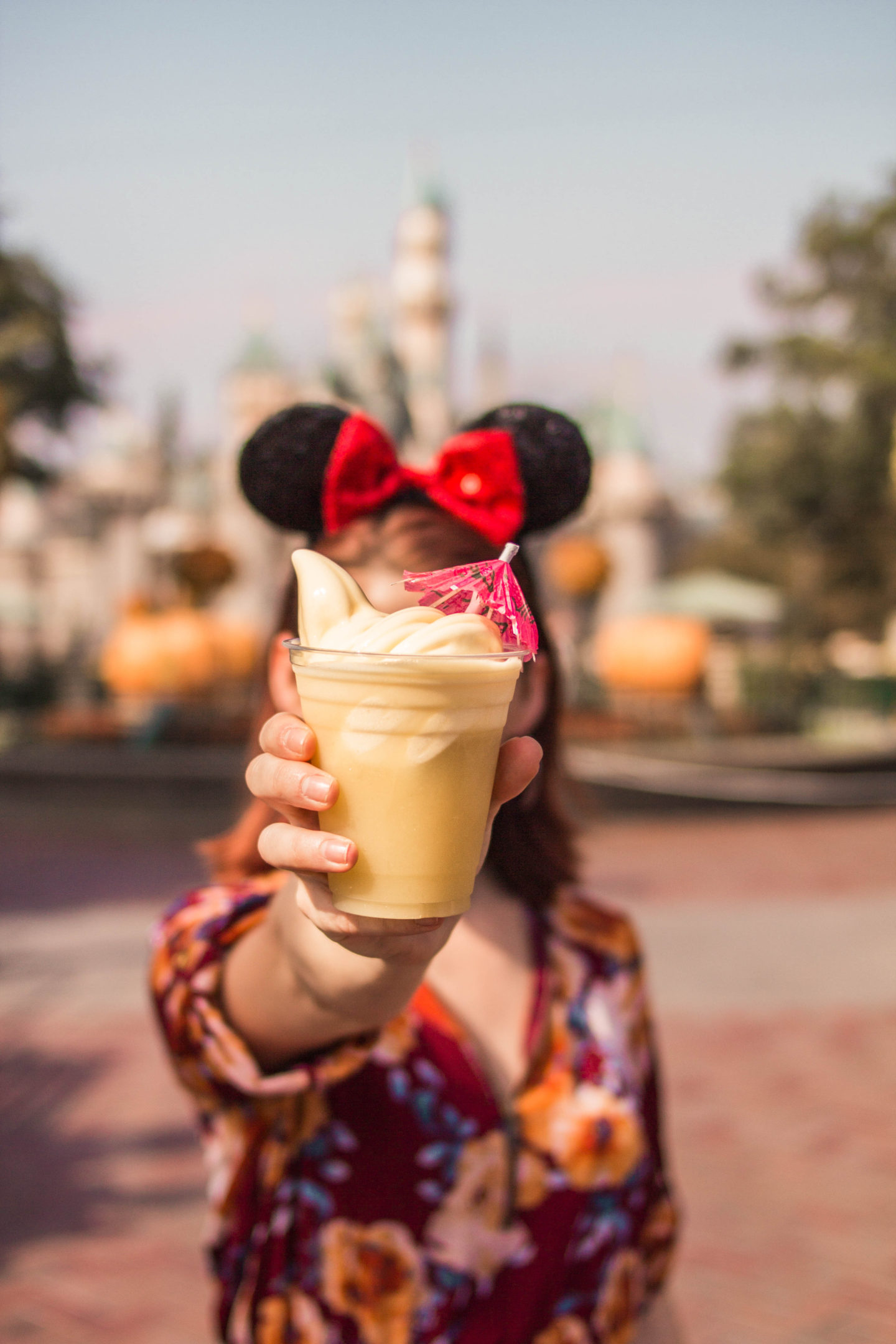 dole whip, disneyland snacks, disneyland food, tips for Disneyland