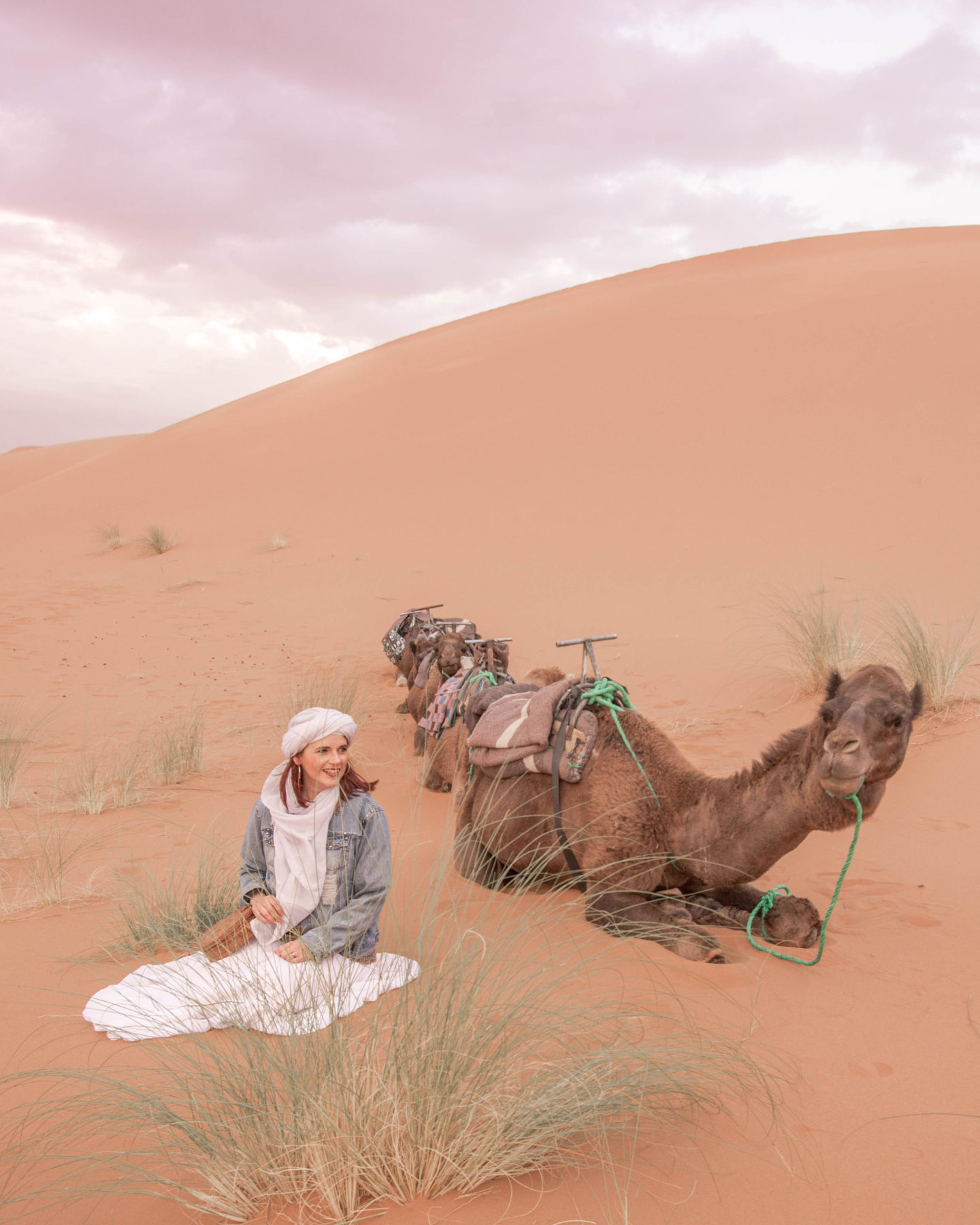 desert camping morocco travel camel ride