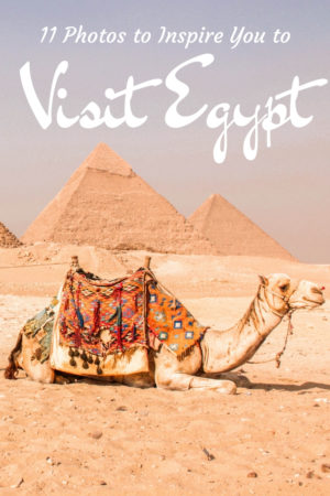 pinterest egypt camels ancient pharoahs sphinx