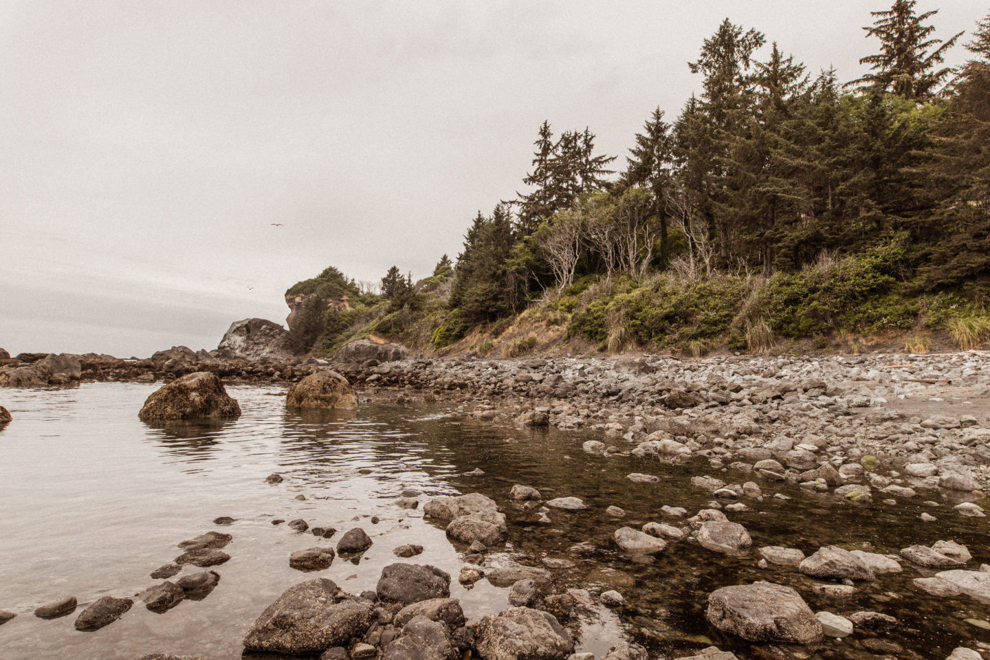 california coast, rocky coastline, pacific northwest