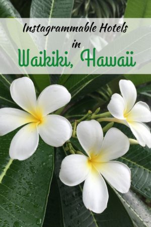 instagram hotels waikiki hawaii