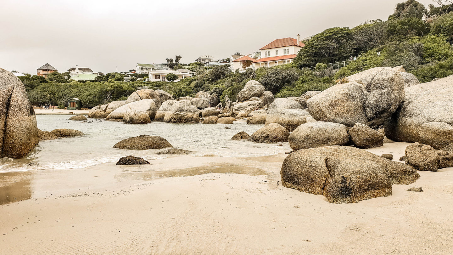 boulders beach, cape town, table mountain national park