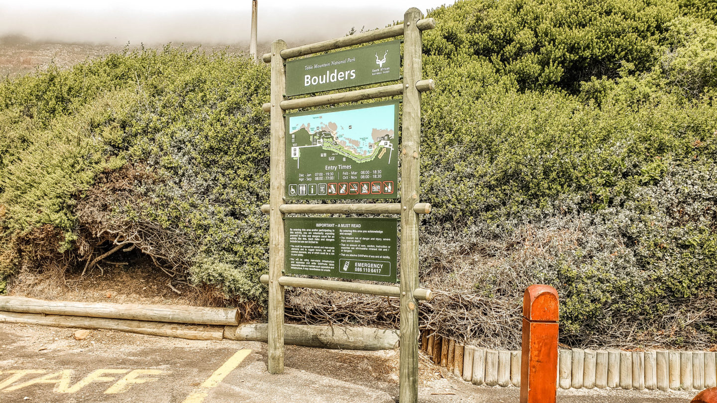 boulders beach, table mountain national park