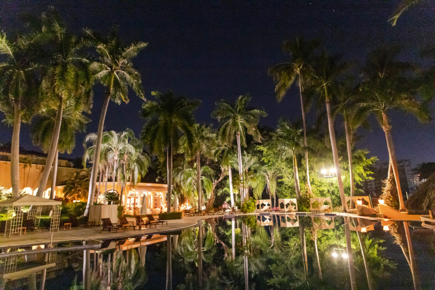 underlit palm trees, resort pool