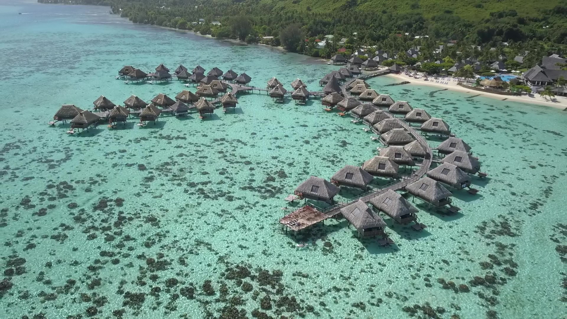 overwater bungalow, villa, tropical location, hilton moorea