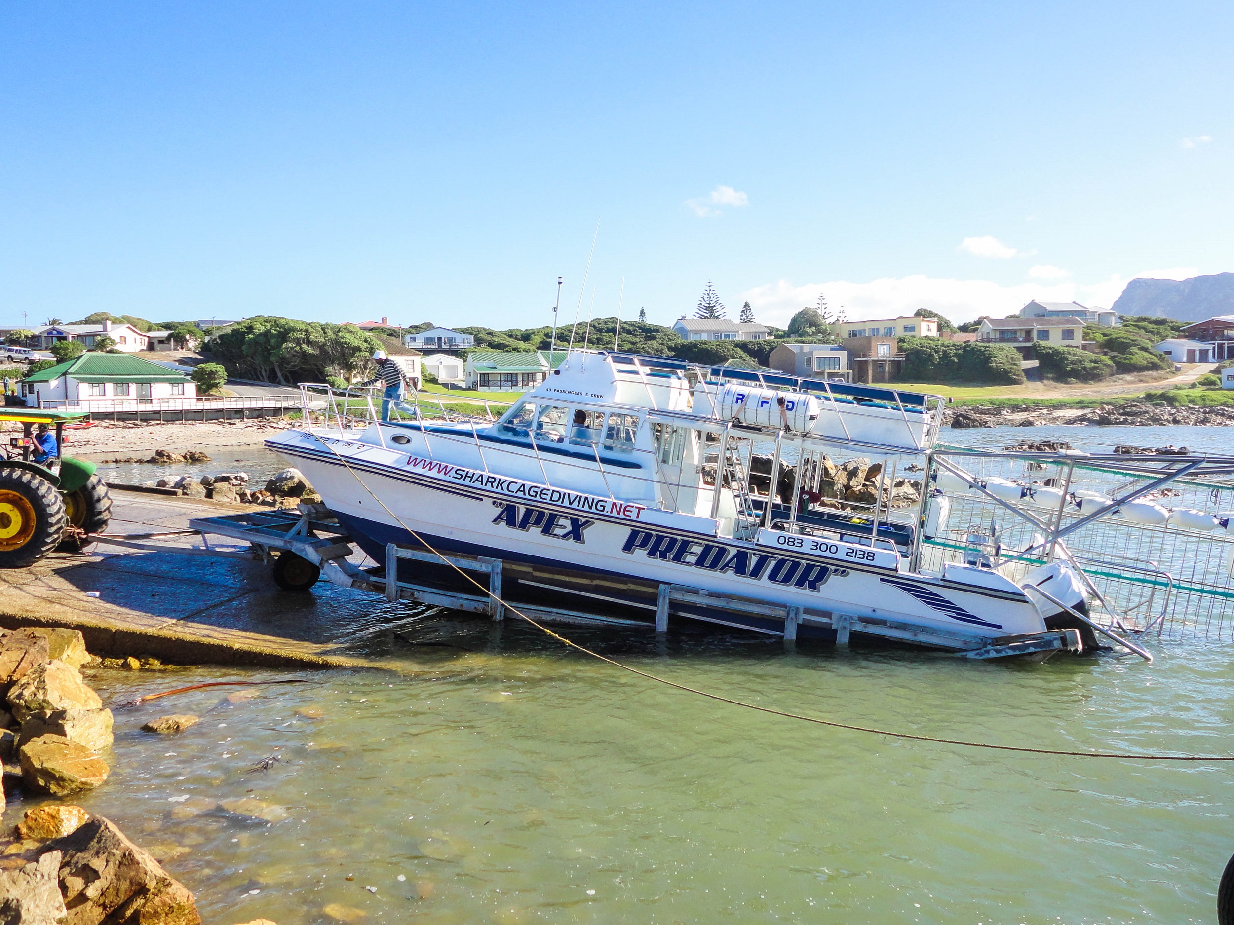 cape town, things to do in cape town, great white shark cage diving