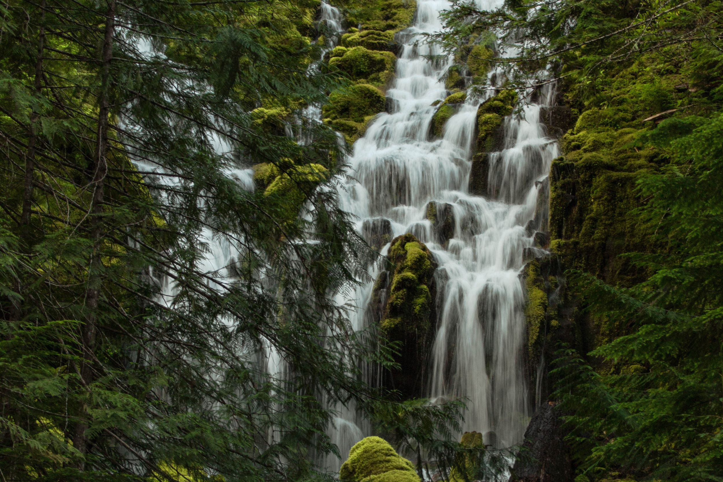 lush waterfall