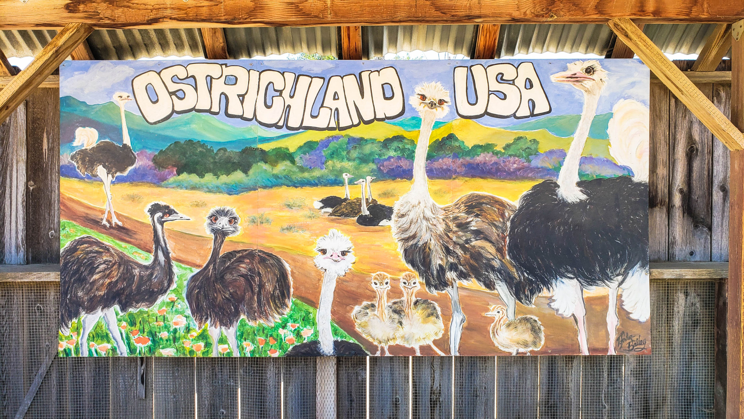 ostrichland usa sign, best stops on pacific coast highway