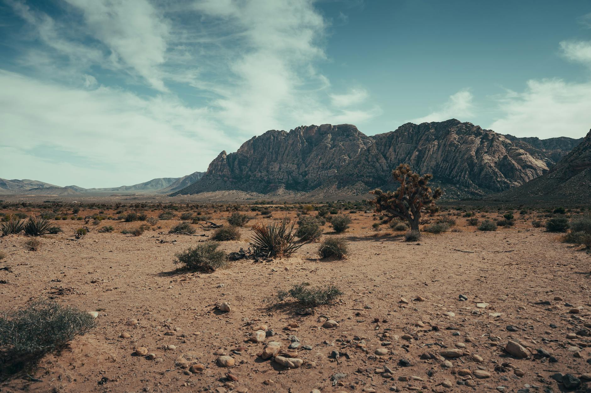 Rugged beauty of the Mojave Desert landscape near Las Vegas Nevada with dramatic scenery