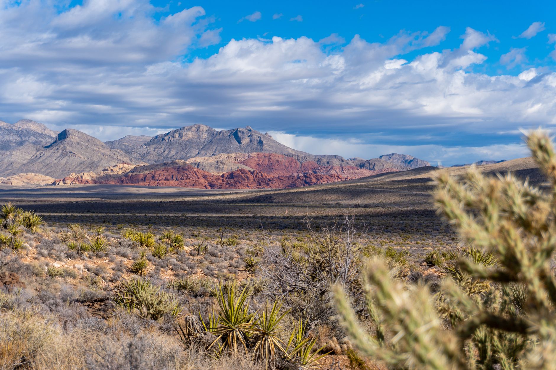 Red Rock Canyon rugged terrain and vibrant rock formations on Nevada Las Vegas day trip