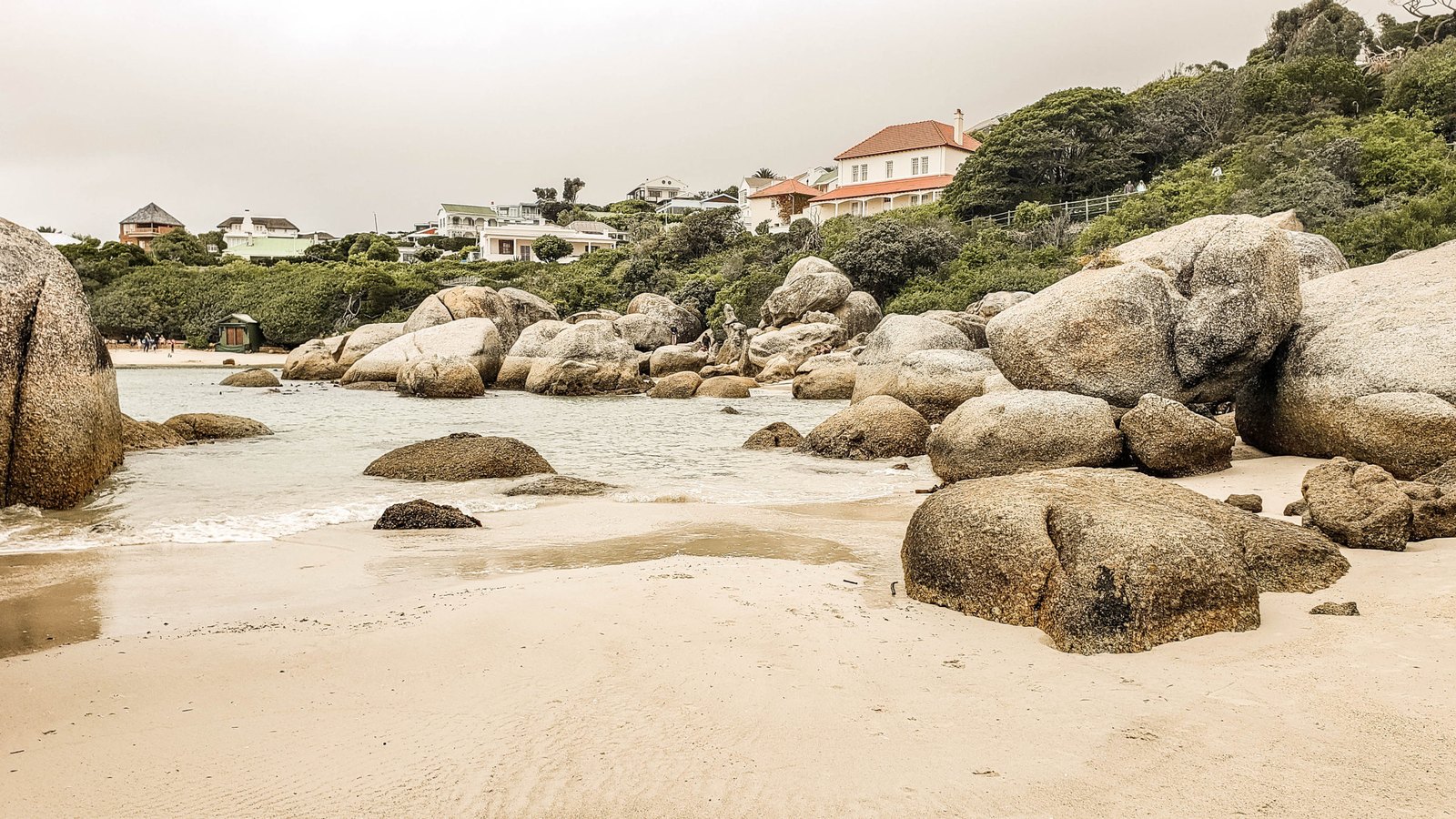 A sandy cove with large rounded boulders and houses on the hillside at Boulders Beach, Cape Town.