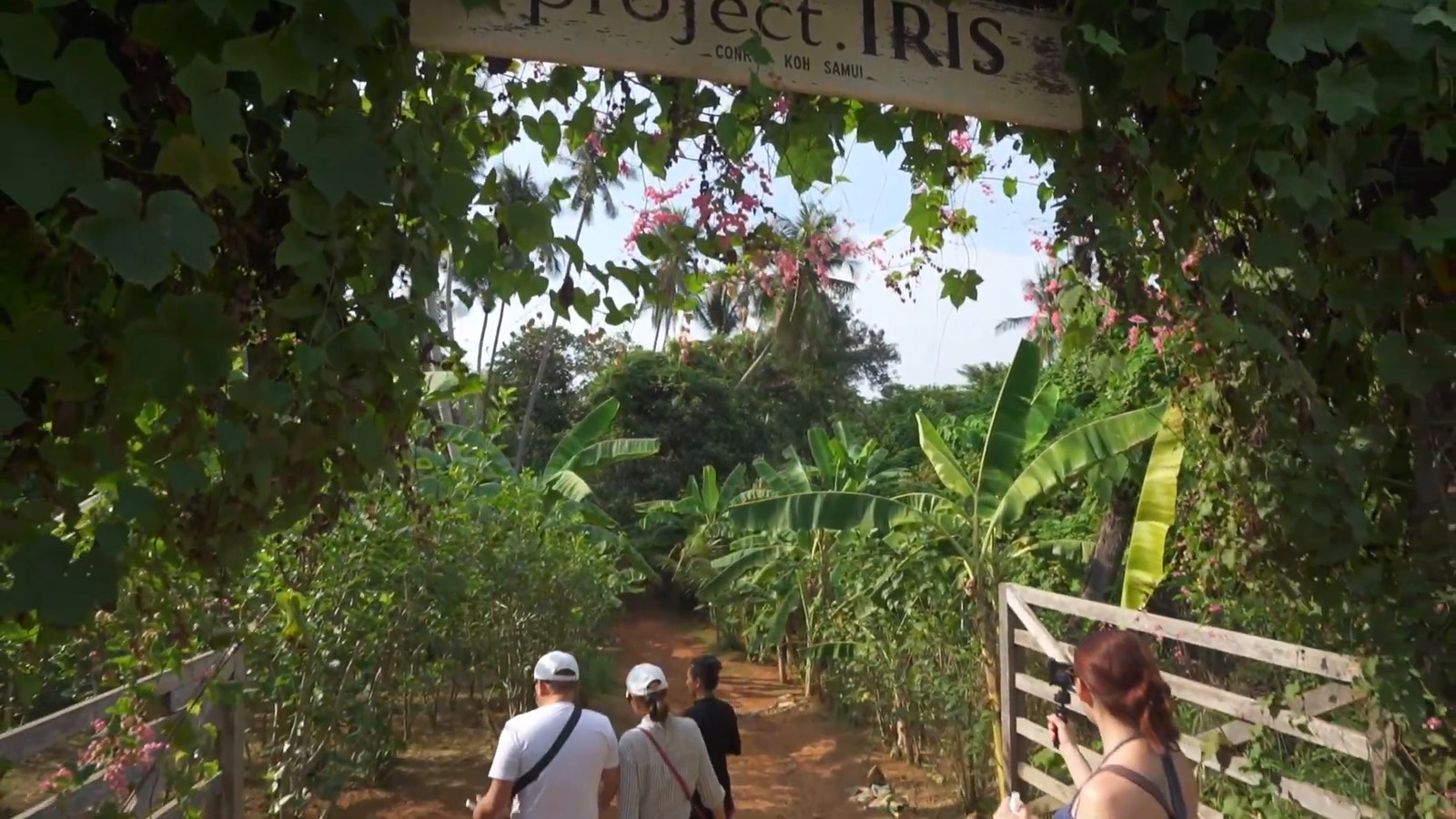 A leafy path through a garden under a wooden sign reading Project Iris, with two visitors walking ahead.