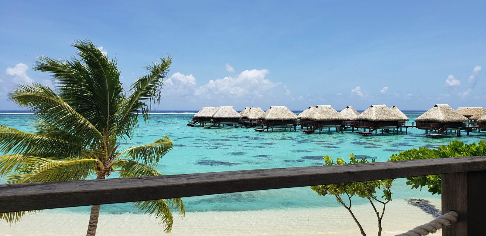 A view over a balcony railing and palm to a turquoise lagoon with a row of thatched overwater bungalows in the distance at the Hilton Moorea.