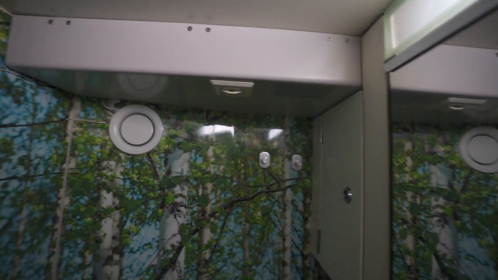 The interior of a small train bathroom with a printed birch-forest wallpaper, a hook, and fixtures along the wall.