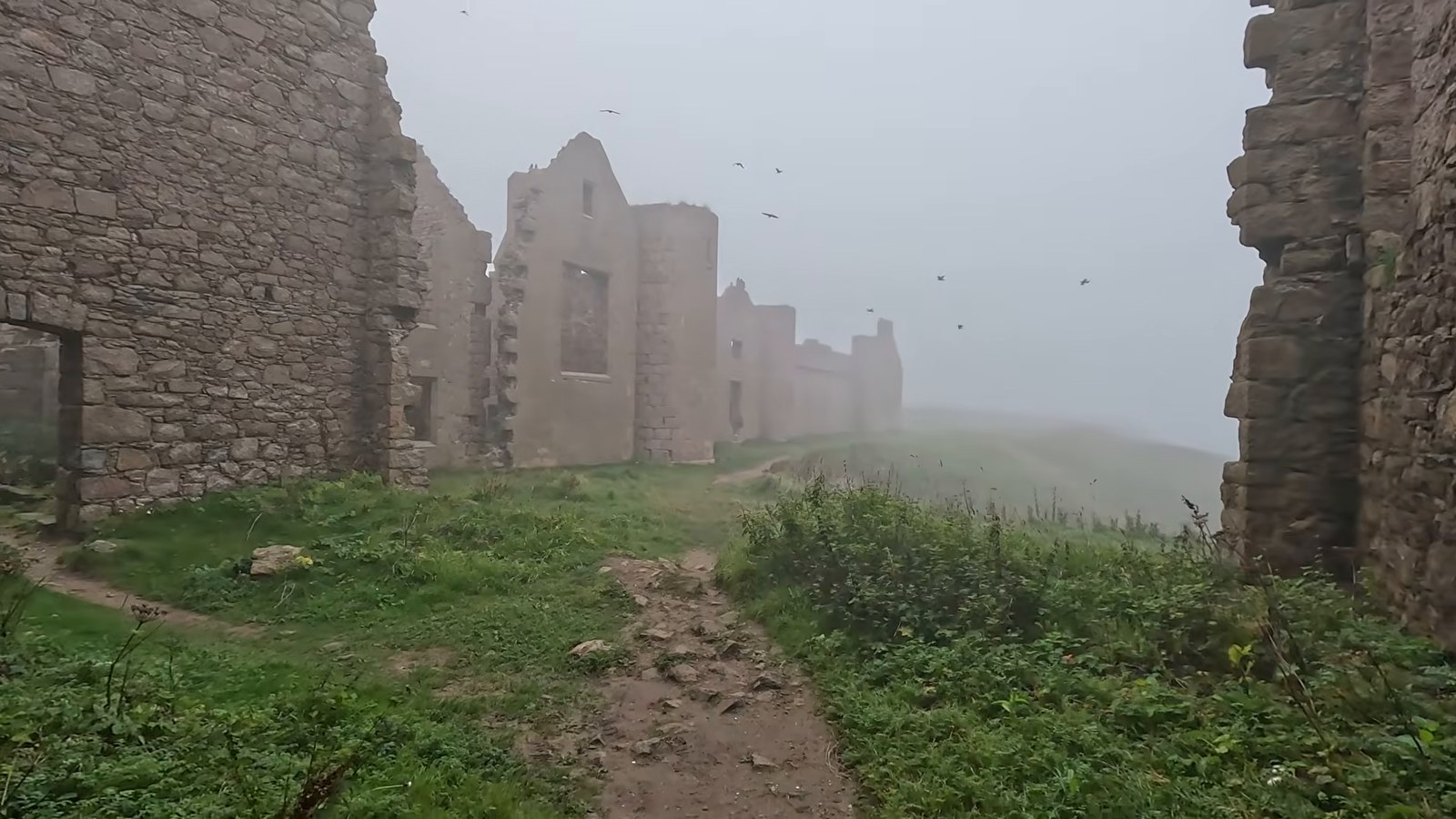 Roofless stone walls of a ruined castle on a grassy clifftop in fog, with birds circling.