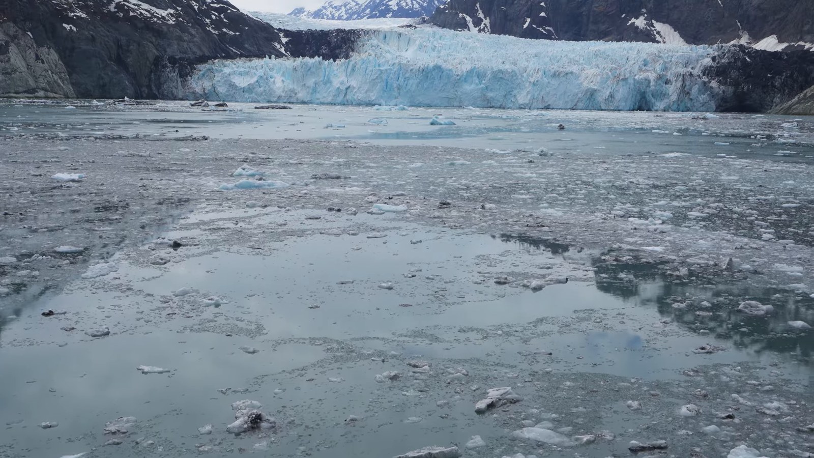 A tidewater glacier face meeting icy blue-grey water dotted with small ice floes, under an overcast sky.