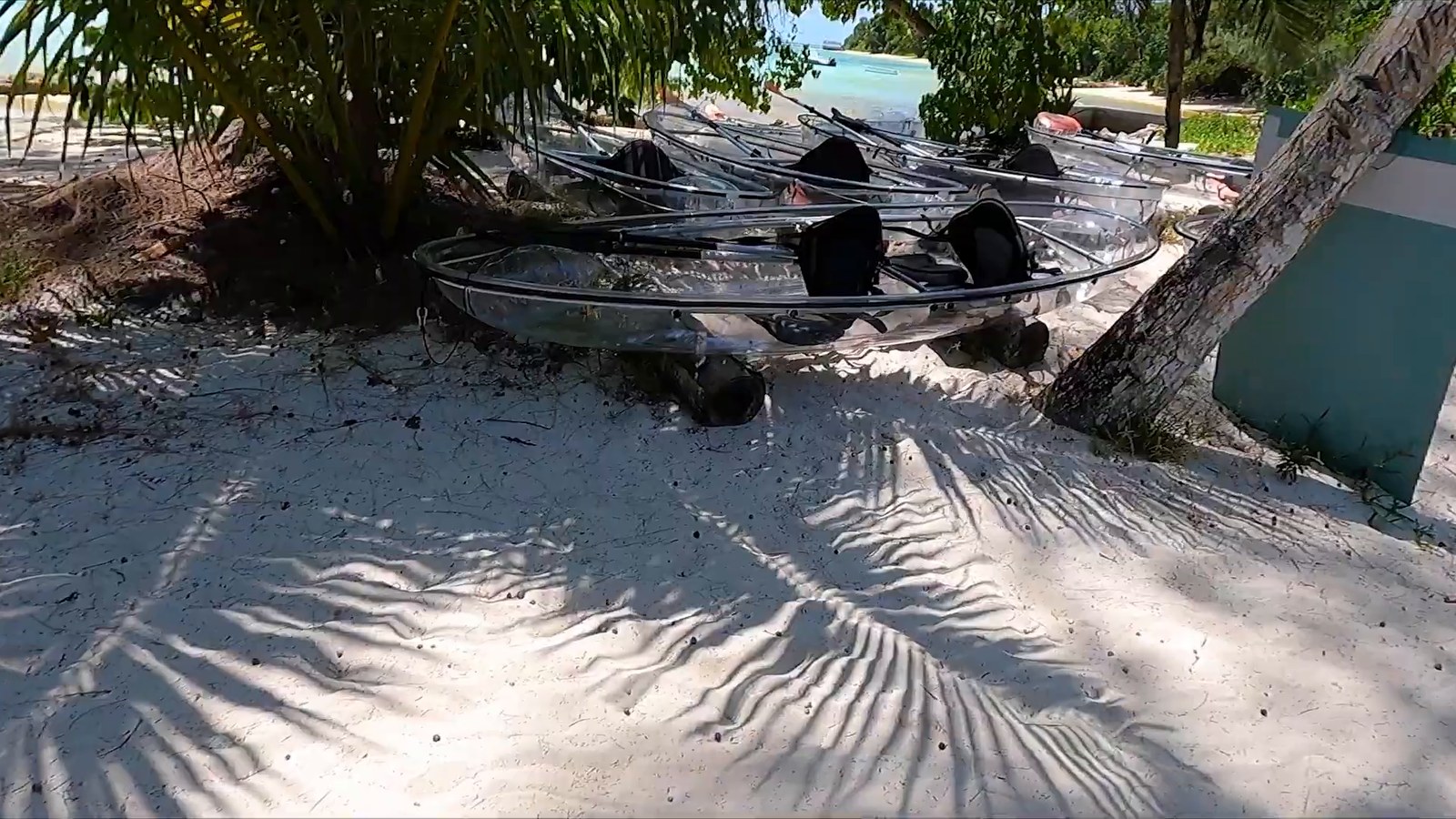 Several clear-bottomed kayaks lie on pale sand in the shade of palms next to a leaning palm trunk.