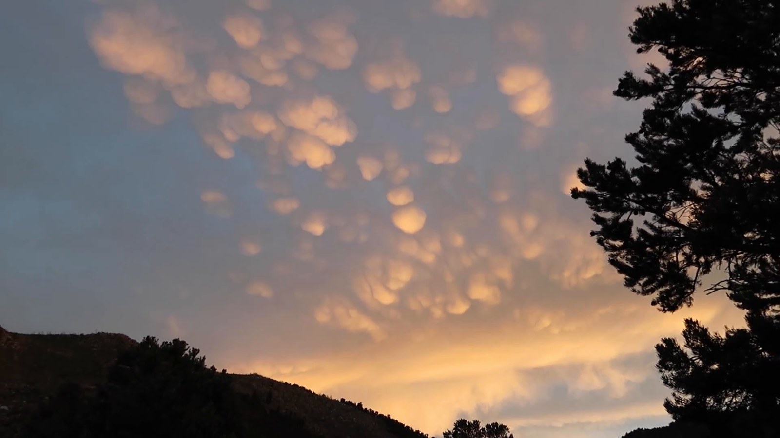 Orange and pink rounded clouds glowing over dark ridgelines and a pine tree at sunset.