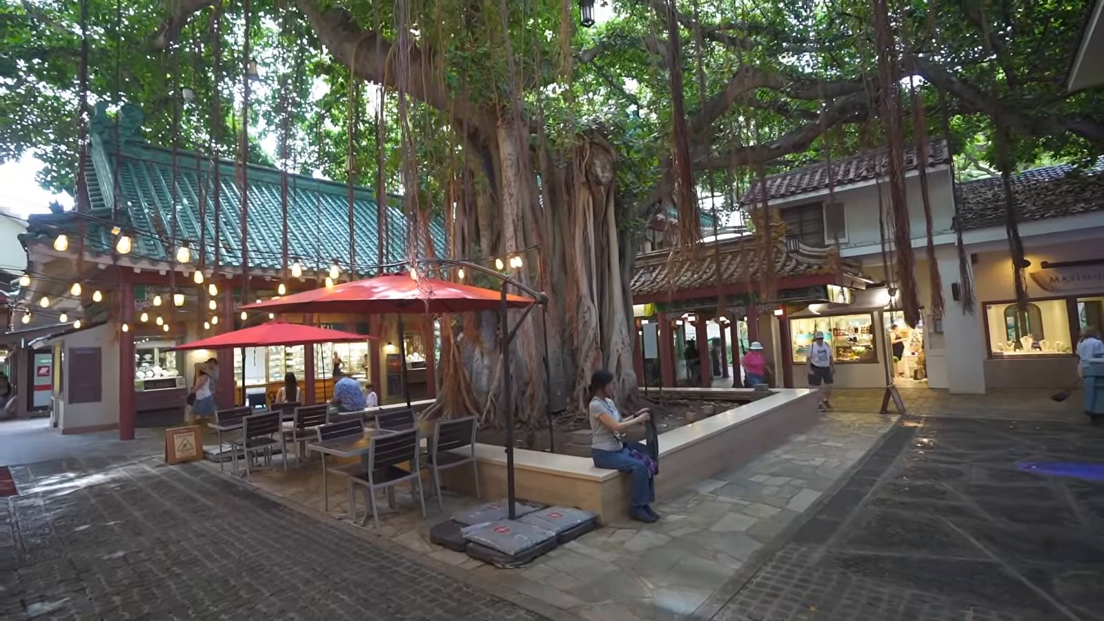 A courtyard under a huge banyan tree with outdoor tables, red umbrellas and shop fronts at the Rainbow Bazaar.