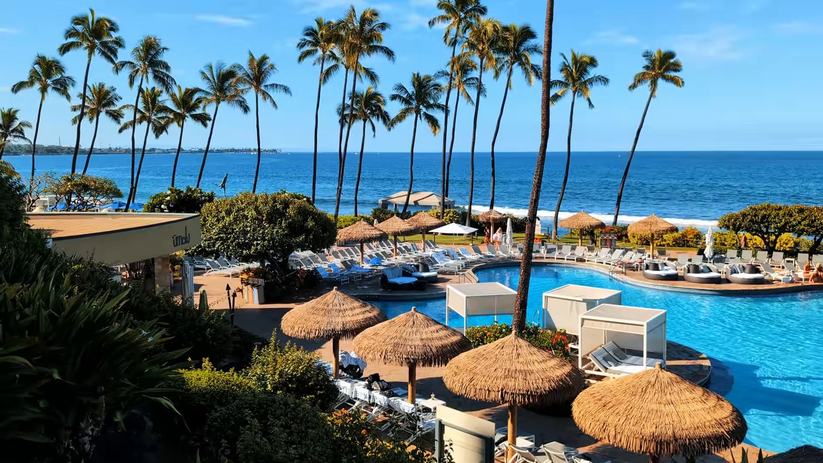 The main pool at Hyatt Regency Maui with thatched umbrellas, cabanas, palm trees and the ocean behind.