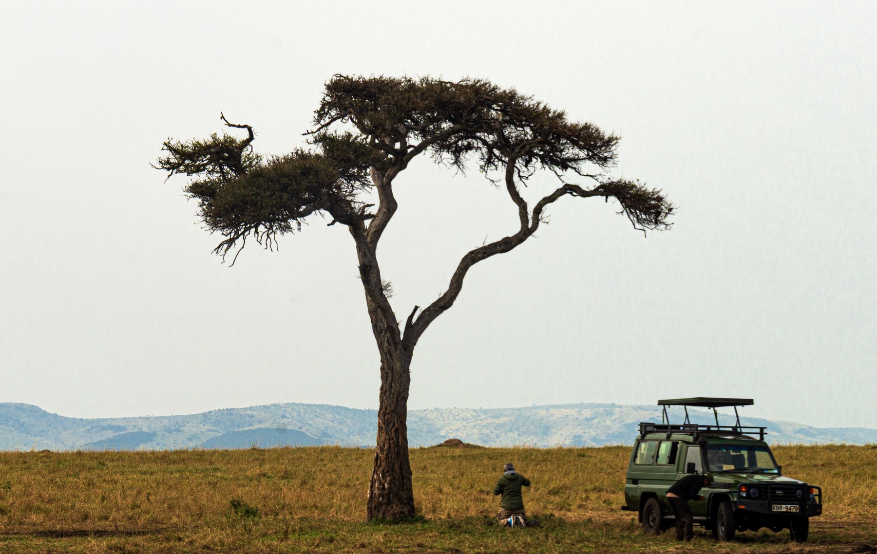 Maasai Mara savanna with a safari vehicle, Kenya