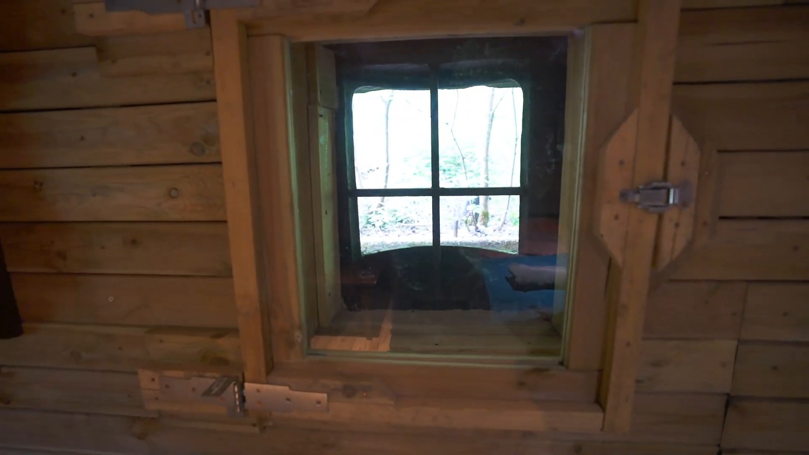 A small latched window with four panes set into a wooden frame in a wood-paneled wall, looking out onto green trees.