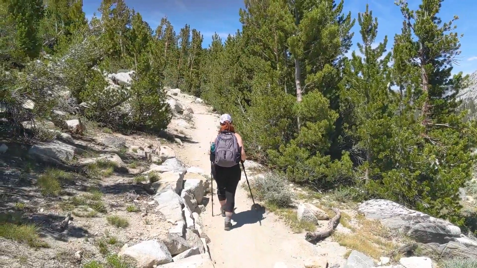 A hiker with trekking poles walks up a sandy path through pine trees and granite slabs.