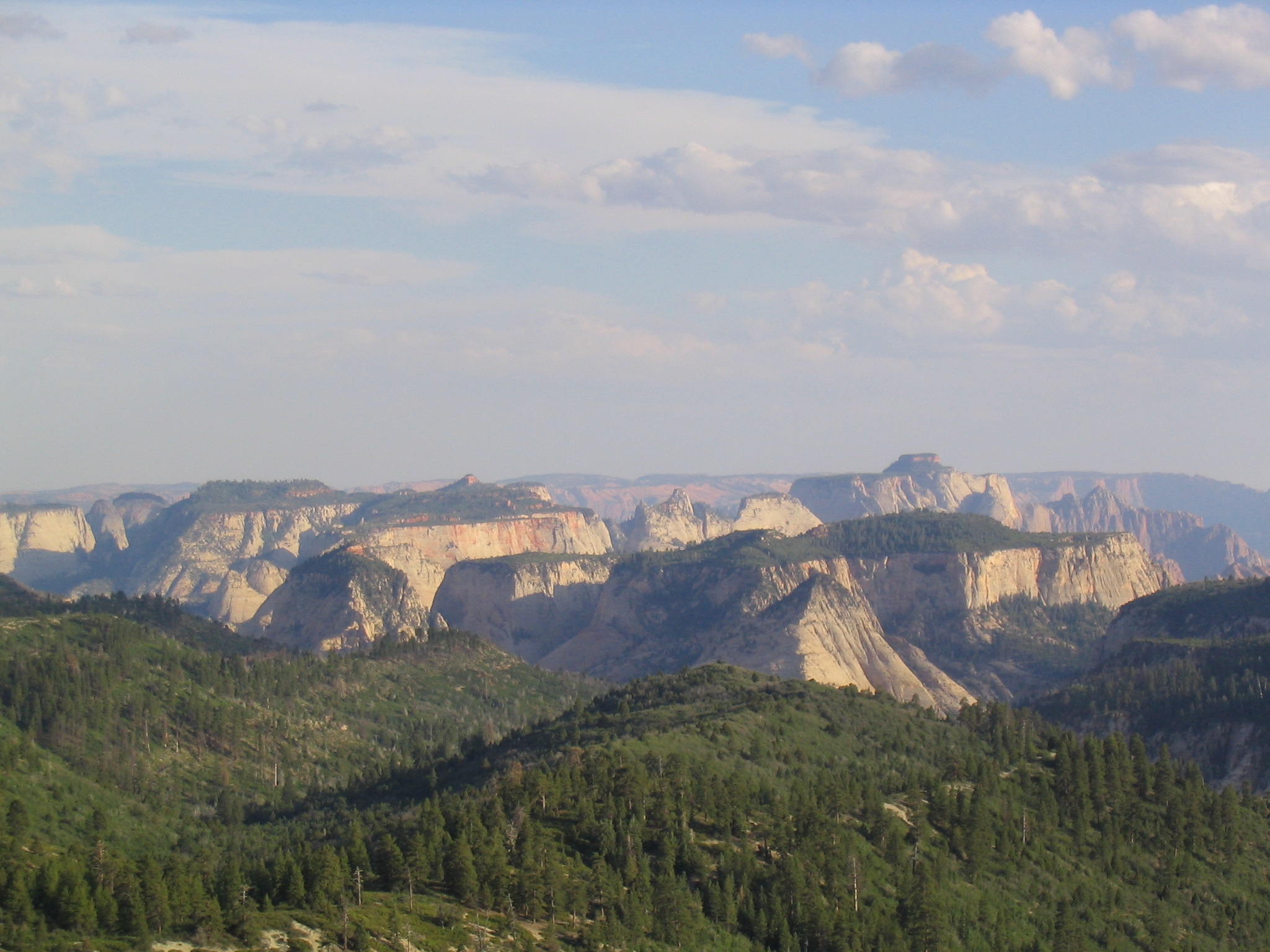 Sandstone cliffs and forested ridges of Zion National Park's backcountry seen from Lava Point in soft evening light.