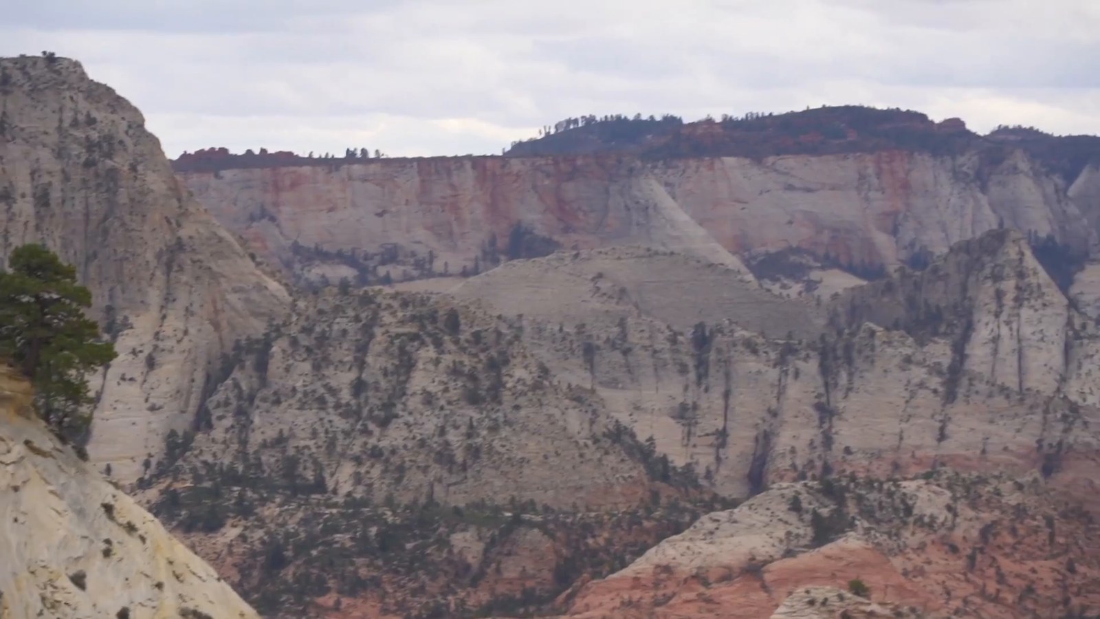 A wide view of pale sandstone cliffs and forested slopes from a viewpoint above Zion's backcountry.